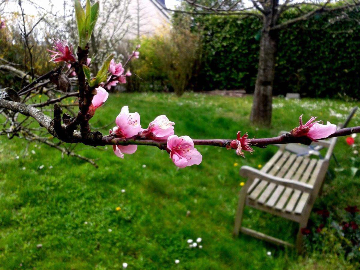 Bed and Breakfast Maison La Chapelle Exterior foto